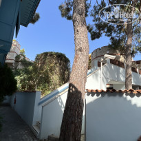 фото из отзыва ID 2720251