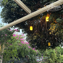 фото из отзыва ID 2720251