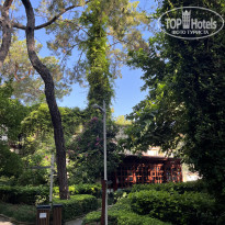 фото из отзыва ID 2720251