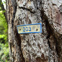 фото из отзыва ID 2720251