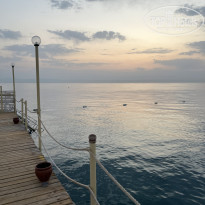 фото из отзыва ID 2720251