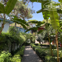 фото из отзыва ID 2720251