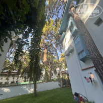 фото из отзыва ID 2720251