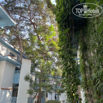 фото из отзыва ID 2720251