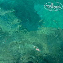 фото из отзыва ID 2720300