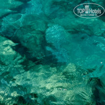 фото из отзыва ID 2720300