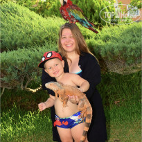 фото из отзыва ID 2720327