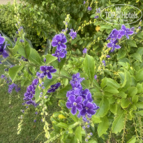 фото из отзыва ID 2720333