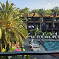 фото из отзыва ID 2720409