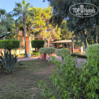 фото из отзыва ID 2720434