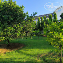 фото из отзыва ID 2720434