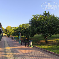 фото из отзыва ID 2720434