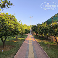 фото из отзыва ID 2720434