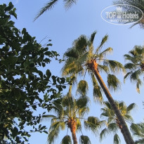 фото из отзыва ID 2720434