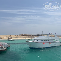 фото из отзыва ID 2720484