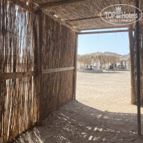 фото из отзыва ID 2720484