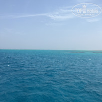 фото из отзыва ID 2720484