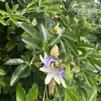 фото из отзыва ID 2720501