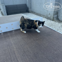 фото из отзыва ID 2720501