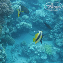 фото из отзыва ID 2720482