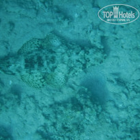 фото из отзыва ID 2720482