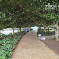 фото из отзыва ID 2720525