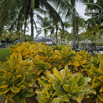 фото из отзыва ID 2720525