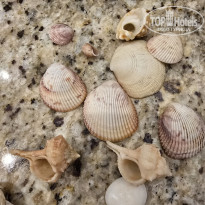 фото из отзыва ID 2720525