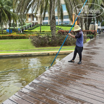 фото из отзыва ID 2720525