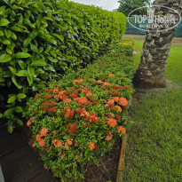 фото из отзыва ID 2720525