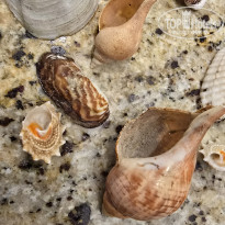 фото из отзыва ID 2720525