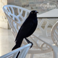 фото из отзыва ID 2720525