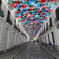 фото из отзыва ID 2720525