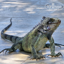 фото из отзыва ID 2720525