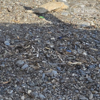 фото из отзыва ID 2720552