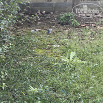 фото из отзыва ID 2720552