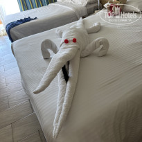 фото из отзыва ID 2720432