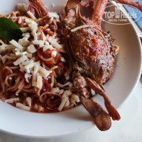 фото из отзыва ID 2720556