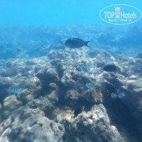 фото из отзыва ID 2720432