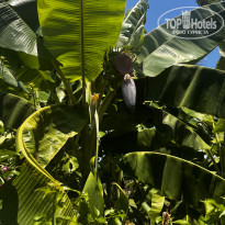 фото из отзыва ID 2720563