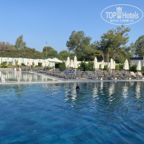 фото из отзыва ID 2720580