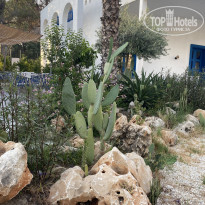 фото из отзыва ID 2720580