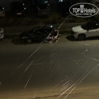 фото из отзыва ID 2720655