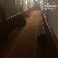 фото из отзыва ID 2720655