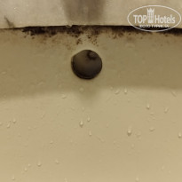 фото из отзыва ID 2720657