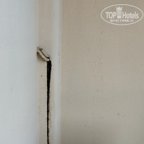 фото из отзыва ID 2720657