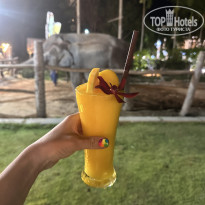 фото из отзыва ID 2720699