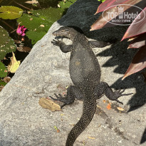 фото из отзыва ID 2720699