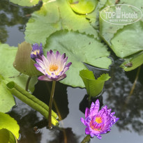 фото из отзыва ID 2720699