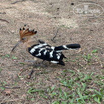 фото из отзыва ID 2720699